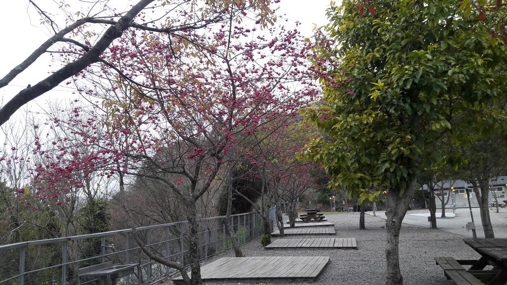 Qing Jing Xiao Taiyang Jingguan Homestay Ренай Экстерьер фото
